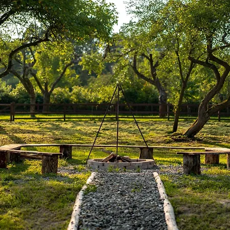 Luxury tent Moon Glamping